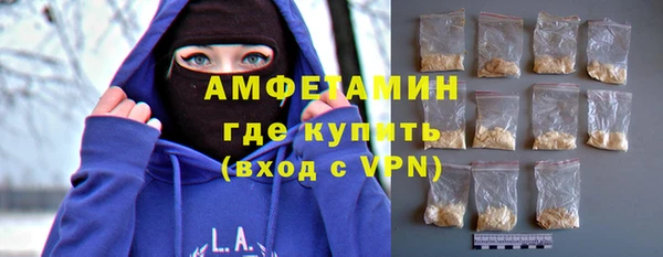 шишки Богородск