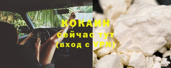шишки Богородск