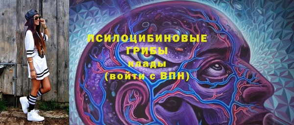 эйфоретик Белокуриха