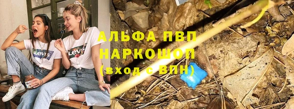 шишки Богородск