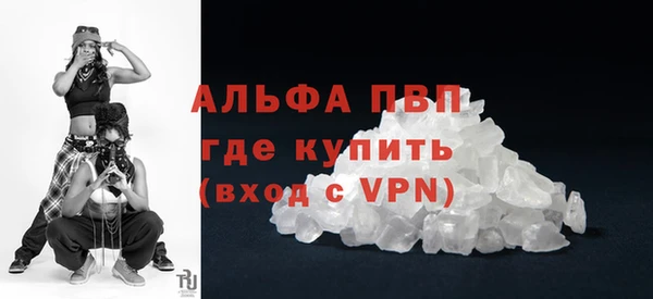амф Богданович