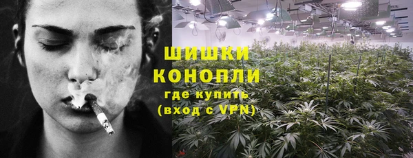 эйфоретик Белокуриха