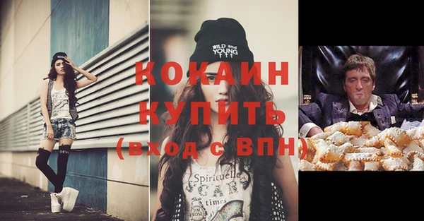шишки Богородск