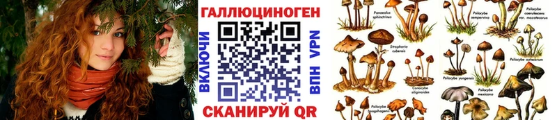 Псилоцибиновые грибы Cubensis  купить  сайты  Олёкминск 