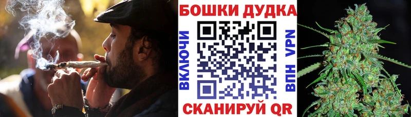Конопля сатива  купить наркоту  МЕГА вход  Олёкминск 